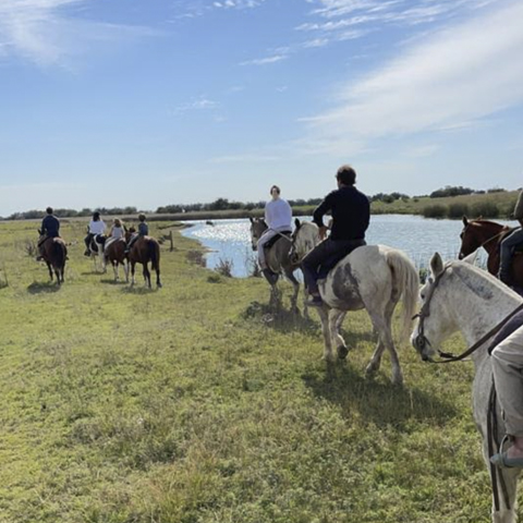 CABALGATAS