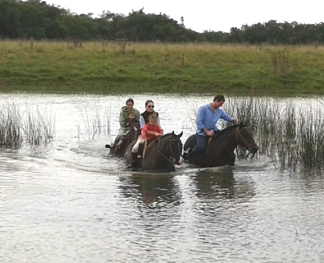 ACTIVIDADES